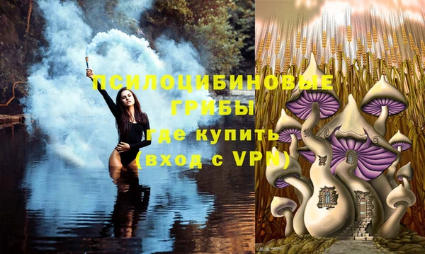 mdpv Осташков