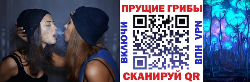 Псилоцибиновые грибы Psilocybe  Купить закладки  Зеленогорск 